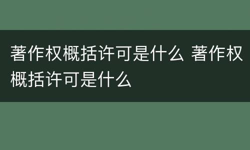 著作权概括许可是什么 著作权概括许可是什么