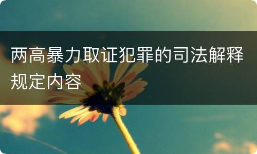 两高暴力取证犯罪的司法解释规定内容