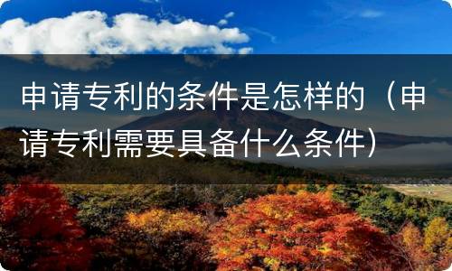 申请专利的条件是怎样的（申请专利需要具备什么条件）