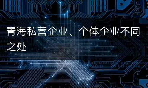青海私营企业、个体企业不同之处