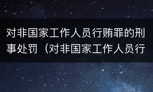 对非国家工作人员行贿罪的刑事处罚（对非国家工作人员行赂罪）