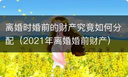 离婚时婚前的财产究竟如何分配（2021年离婚婚前财产）