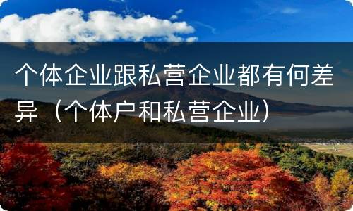 个体企业跟私营企业都有何差异（个体户和私营企业）