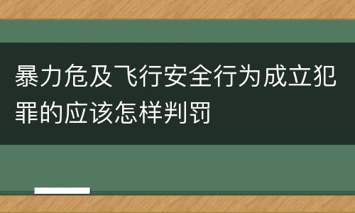 暴力危及飞行安全行为成立犯罪的应该怎样判罚