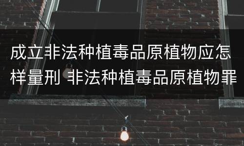 成立非法种植毒品原植物应怎样量刑 非法种植毒品原植物罪量刑