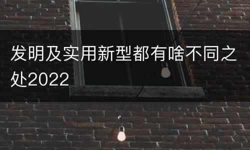 发明及实用新型都有啥不同之处2022