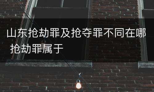 山东抢劫罪及抢夺罪不同在哪 抢劫罪属于
