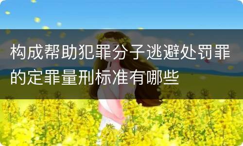 构成帮助犯罪分子逃避处罚罪的定罪量刑标准有哪些