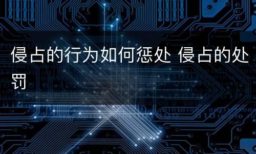 侵占的行为如何惩处 侵占的处罚