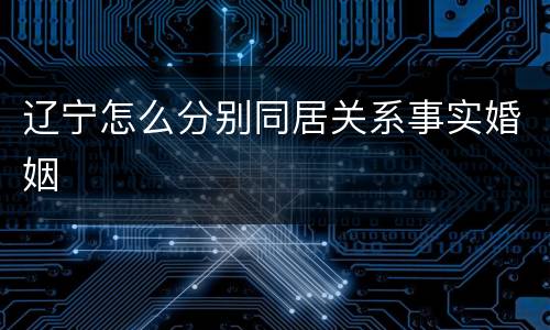 辽宁怎么分别同居关系事实婚姻