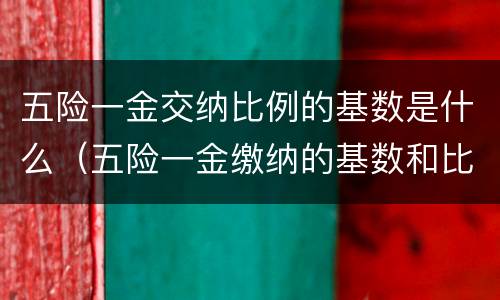 五险一金交纳比例的基数是什么（五险一金缴纳的基数和比例）