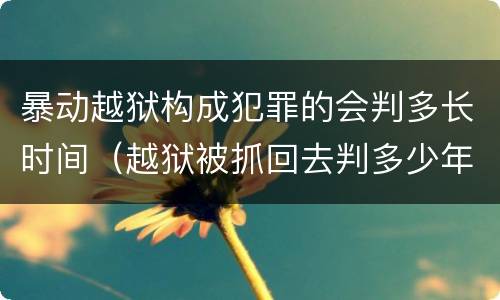 暴动越狱构成犯罪的会判多长时间（越狱被抓回去判多少年）
