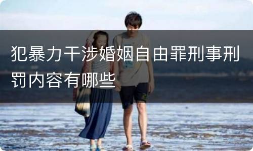 犯暴力干涉婚姻自由罪刑事刑罚内容有哪些