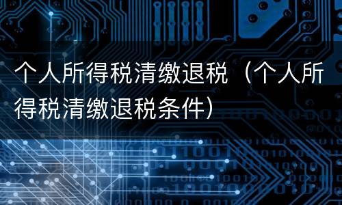 个人所得税清缴退税（个人所得税清缴退税条件）