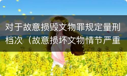 对于故意损毁文物罪规定量刑档次（故意损坏文物情节严重）