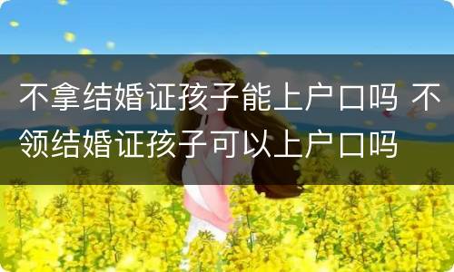 不拿结婚证孩子能上户口吗 不领结婚证孩子可以上户口吗