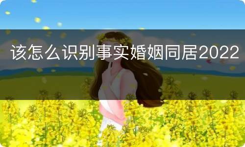 该怎么识别事实婚姻同居2022