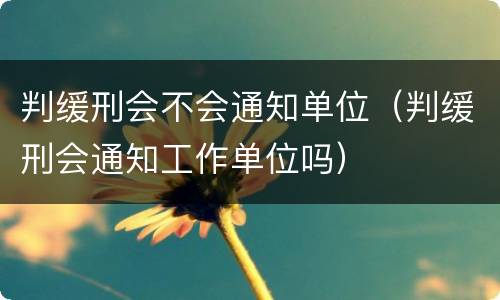 判缓刑会不会通知单位（判缓刑会通知工作单位吗）