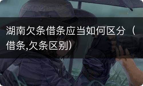 湖南欠条借条应当如何区分（借条,欠条区别）