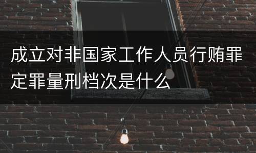 成立对非国家工作人员行贿罪定罪量刑档次是什么