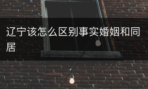 辽宁该怎么区别事实婚姻和同居