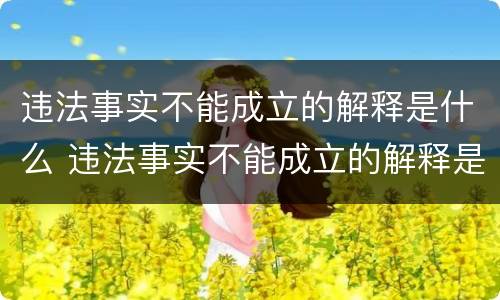 违法事实不能成立的解释是什么 违法事实不能成立的解释是什么