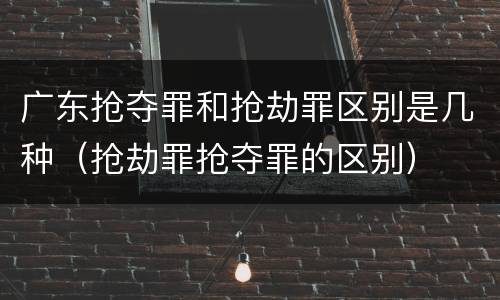广东抢夺罪和抢劫罪区别是几种（抢劫罪抢夺罪的区别）