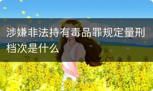 涉嫌非法持有毒品罪规定量刑档次是什么