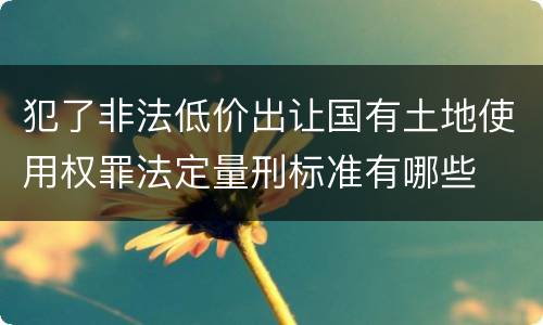 犯了非法低价出让国有土地使用权罪法定量刑标准有哪些