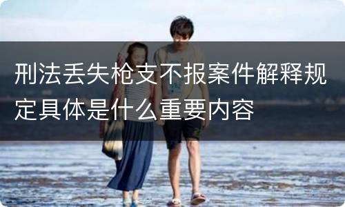 刑法丢失枪支不报案件解释规定具体是什么重要内容