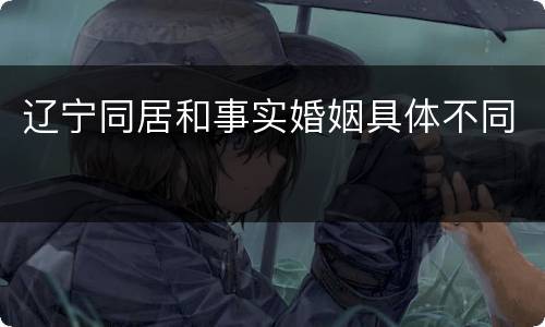 辽宁同居和事实婚姻具体不同