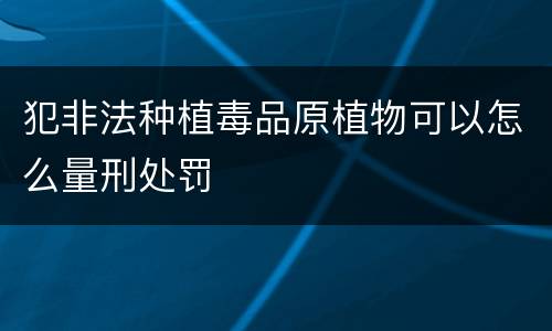 犯非法种植毒品原植物可以怎么量刑处罚