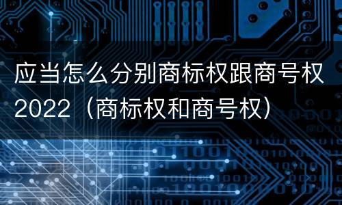 应当怎么分别商标权跟商号权2022（商标权和商号权）