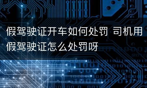 假驾驶证开车如何处罚 司机用假驾驶证怎么处罚呀