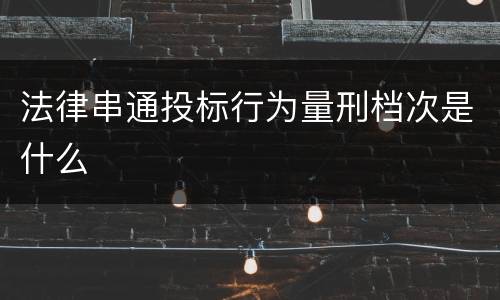 法律串通投标行为量刑档次是什么