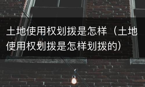 土地使用权划拨是怎样（土地使用权划拨是怎样划拨的）