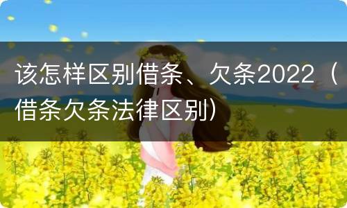 该怎样区别借条、欠条2022（借条欠条法律区别）