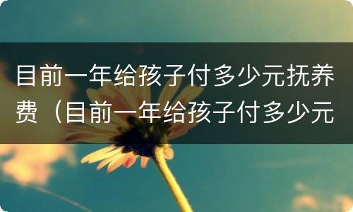 目前一年给孩子付多少元抚养费（目前一年给孩子付多少元抚养费呢）