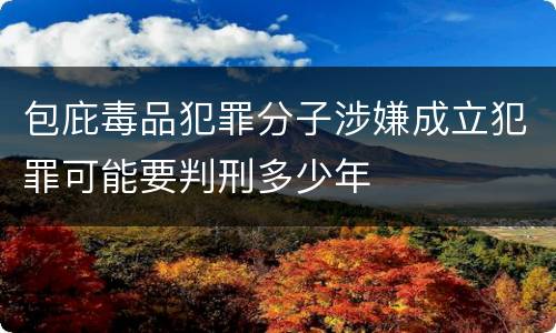 包庇毒品犯罪分子涉嫌成立犯罪可能要判刑多少年