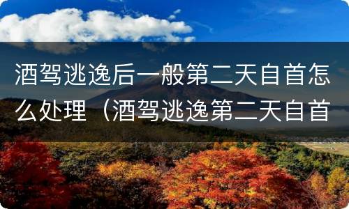 酒驾逃逸后一般第二天自首怎么处理（酒驾逃逸第二天自首民警怀疑喝酒怎么办）