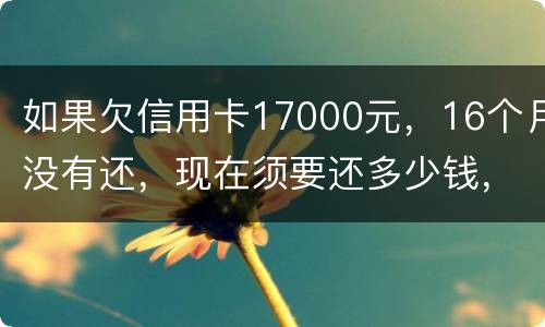 如果欠信用卡17000元，16个月没有还，现在须要还多少钱，