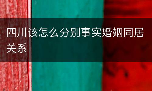 四川该怎么分别事实婚姻同居关系