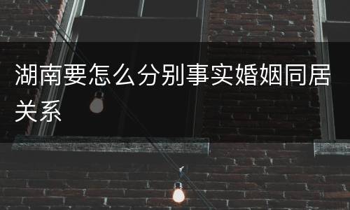 湖南要怎么分别事实婚姻同居关系