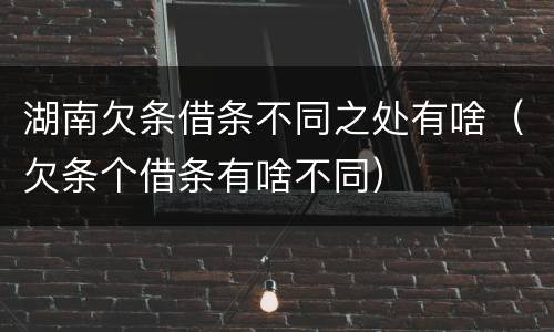 湖南欠条借条不同之处有啥（欠条个借条有啥不同）