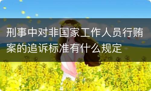 刑事中对非国家工作人员行贿案的追诉标准有什么规定