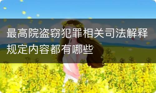 最高院盗窃犯罪相关司法解释规定内容都有哪些