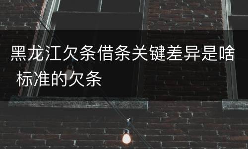 黑龙江欠条借条关键差异是啥 标准的欠条