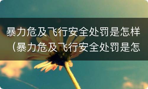 暴力危及飞行安全处罚是怎样（暴力危及飞行安全处罚是怎样形成的）