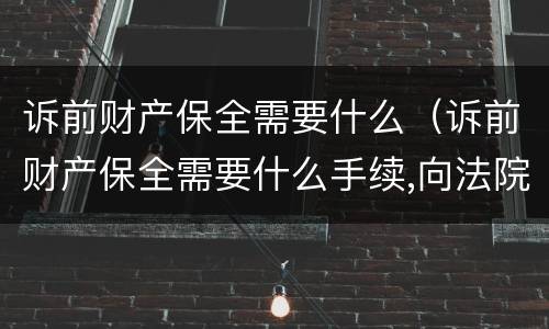 诉前财产保全需要什么（诉前财产保全需要什么手续,向法院提交什么资料?）