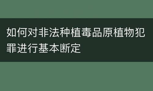 如何对非法种植毒品原植物犯罪进行基本断定